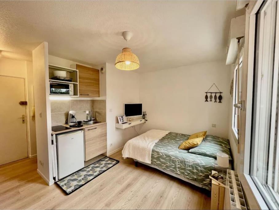 Appartement Studio Orchidee - Metro Arenes - Hopital A 5 Mn à Toulouse Extérieur photo